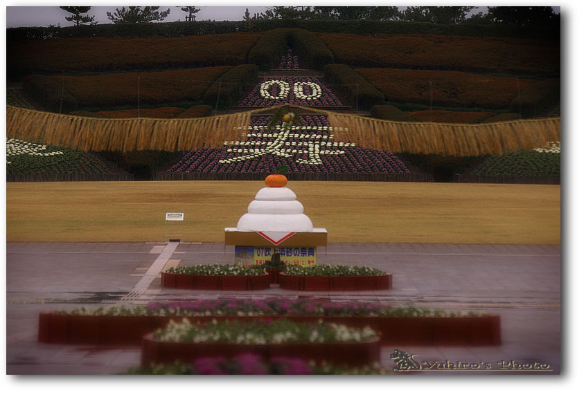 d0004832_11564666.jpg