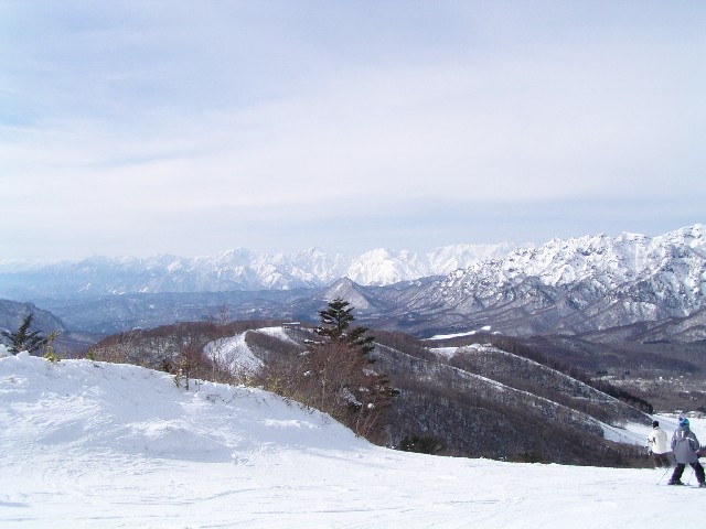 e0039871_1719282.jpg