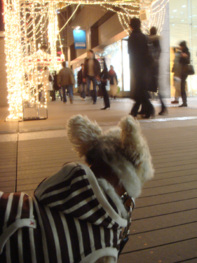 b0091373_0155699.jpg