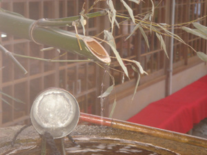 f0008573_119251.jpg