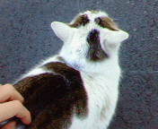 d0045977_7335139.jpg