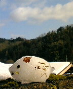 c0026178_203587.jpg