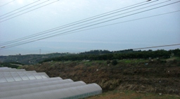 a0073182_952378.jpg