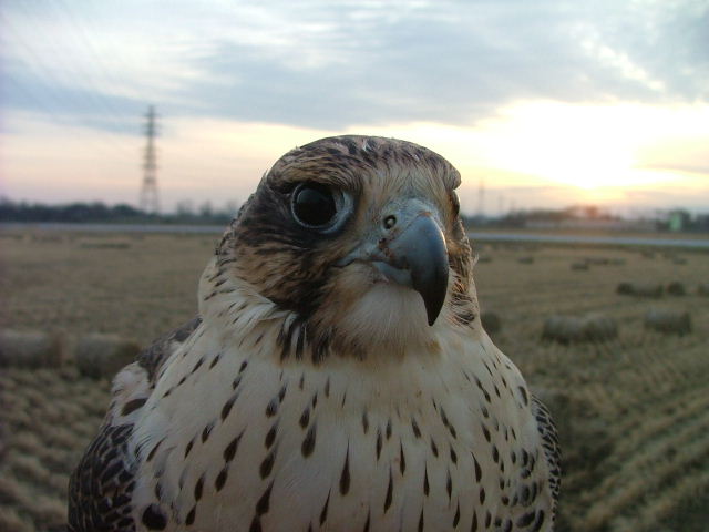 d0083692_188597.jpg