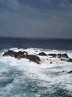 d0028195_21363449.jpg