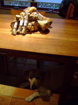 f0001698_2244369.jpg