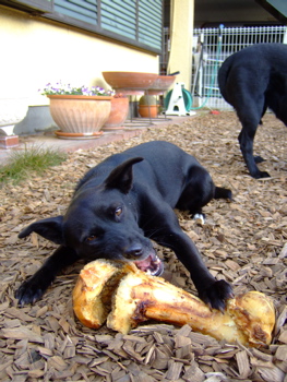 f0001698_2315136.jpg