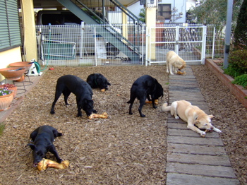 f0001698_2375572.jpg