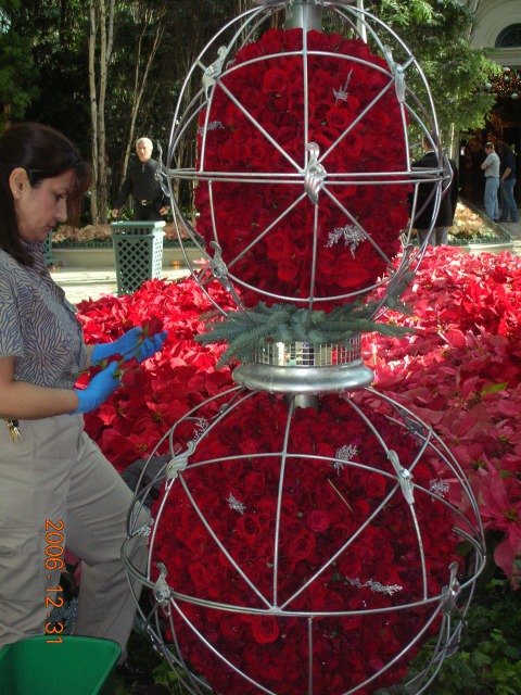 e0103700_546572.jpg