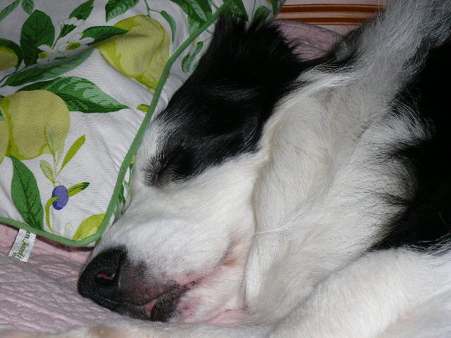e0028401_1431324.jpg