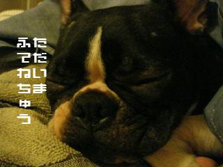 e0039002_15554046.jpg