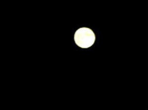 f0041606_225512.jpg