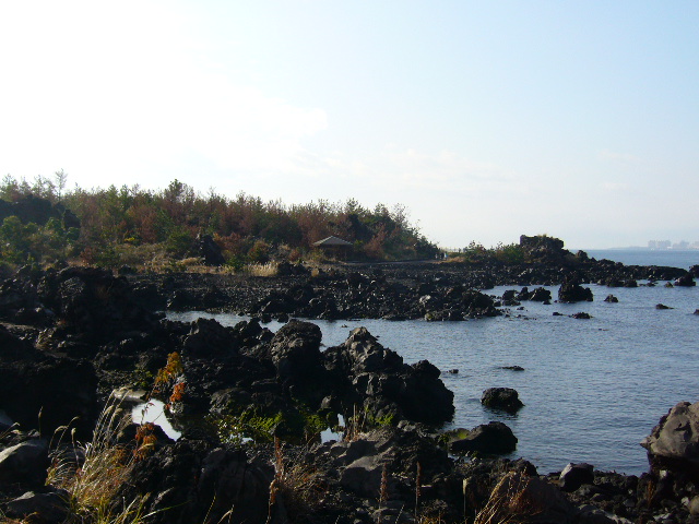 f0096008_1245138.jpg
