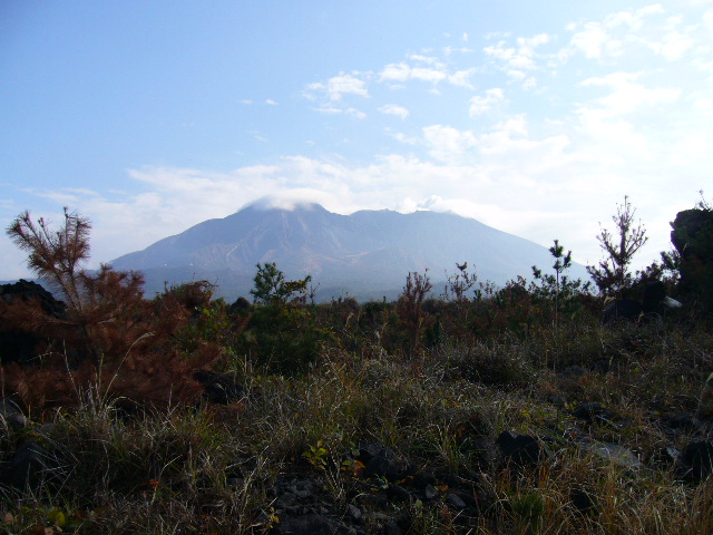 f0096008_12494129.jpg