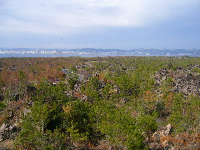 f0096008_1305940.jpg