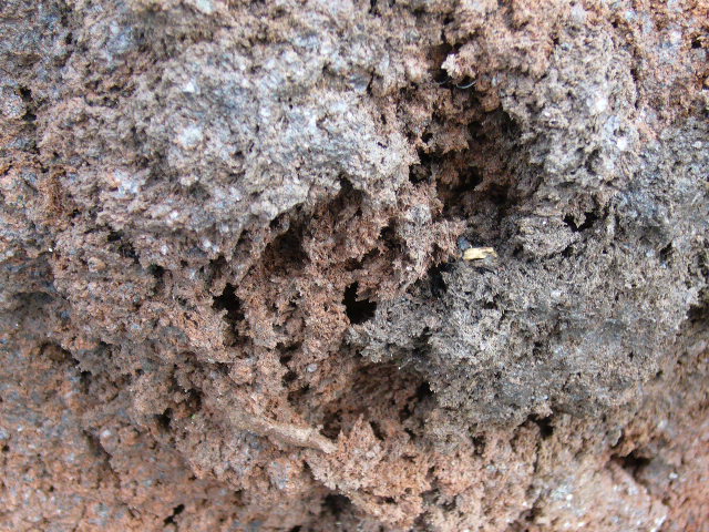 f0096008_13142867.jpg