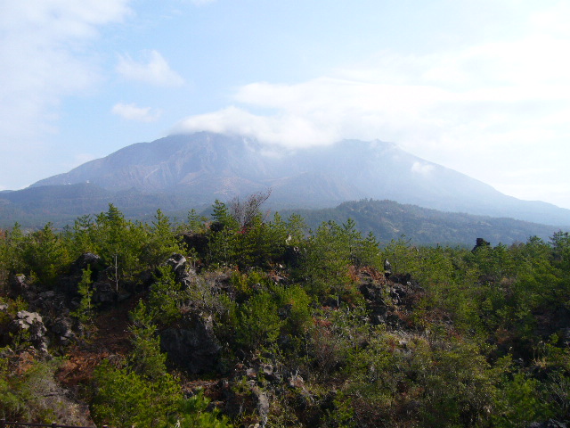 f0096008_1314449.jpg