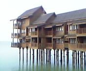 c0051529_20151981.jpg