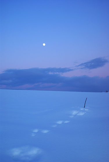 e0025030_1451792.jpg