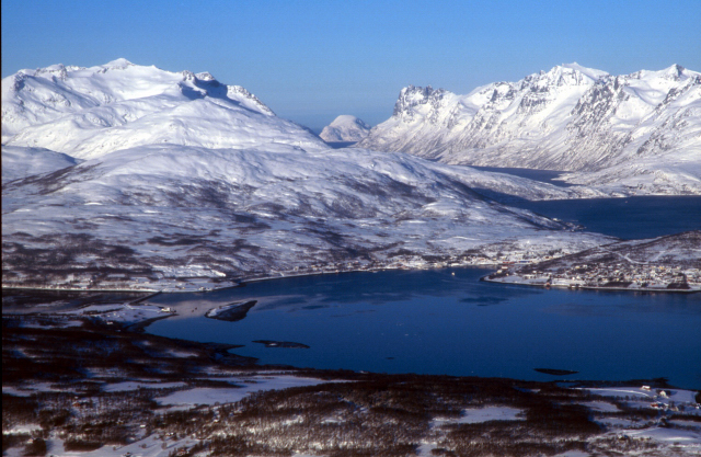 d0091834_12375589.jpg