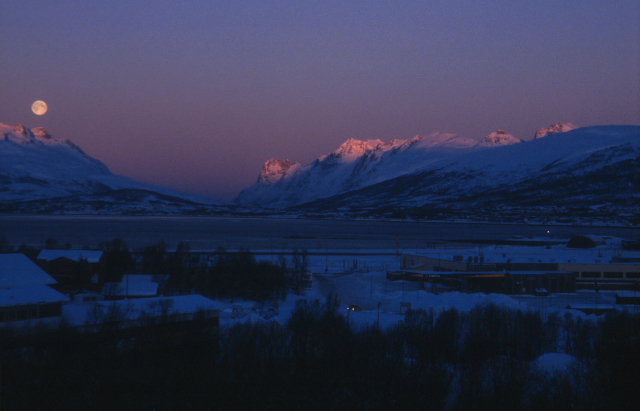 d0091834_12385566.jpg