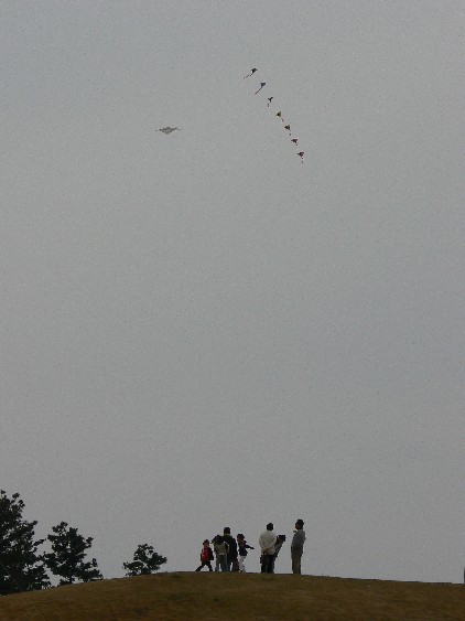 e0083238_20421465.jpg