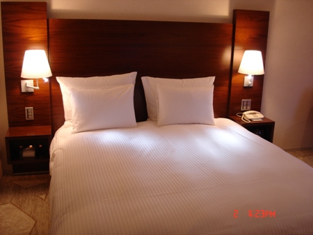 c0022340_1651767.jpg