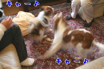 d0013149_0134267.jpg