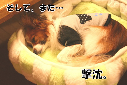d0013149_0242488.jpg