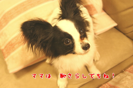 d0013149_052480.jpg
