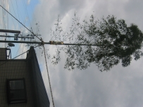 c0091451_1424236.jpg