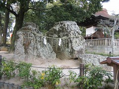 d0031853_46666.jpg
