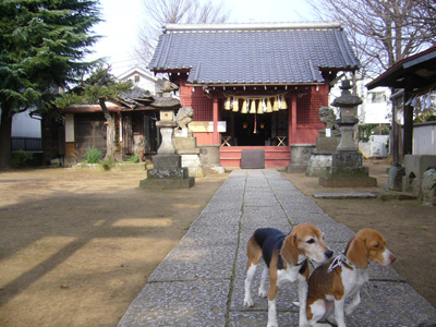 b0045357_13445594.jpg