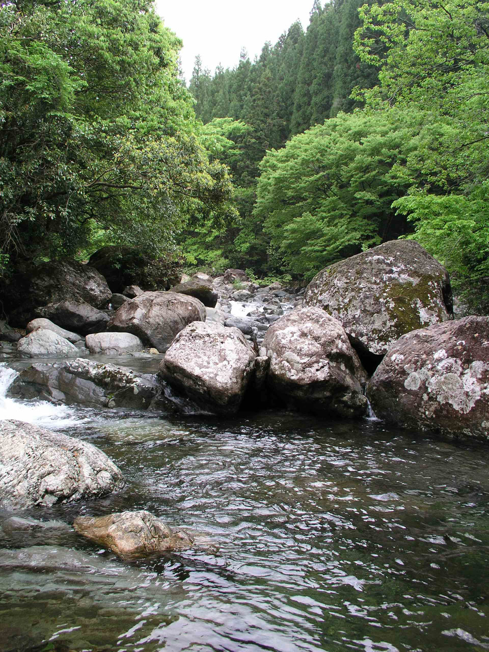 b0032262_23443524.jpg