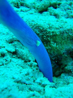 b0062363_19193645.jpg
