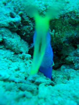 b0062363_1923181.jpg