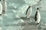 e0059569_23413739.gif