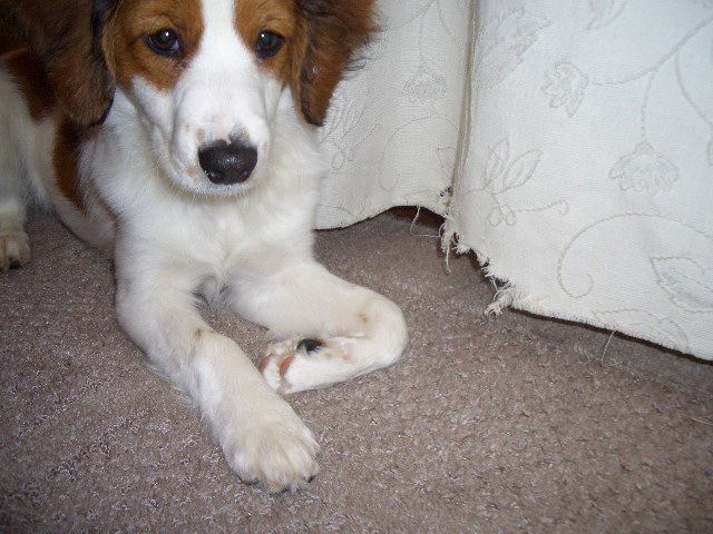 f0120770_21103727.jpg