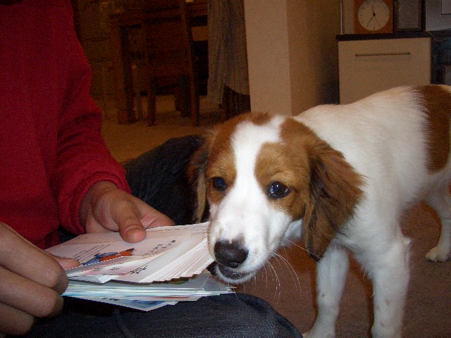 f0120770_21105842.jpg