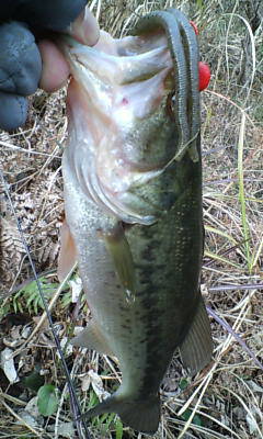 a0040876_2261140.jpg