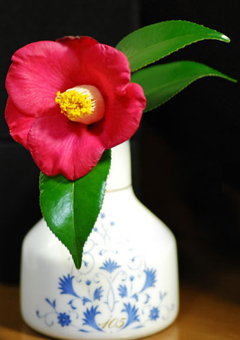c0009981_6451345.jpg