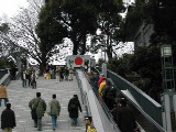 e0027681_974496.jpg