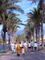 f0060585_1953716.jpg