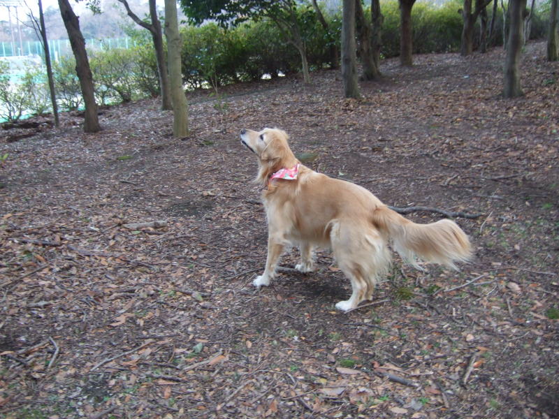c0104492_0484934.jpg