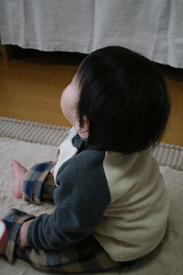 d0100192_204555.gif