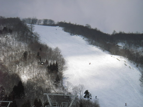a0043193_1730824.jpg