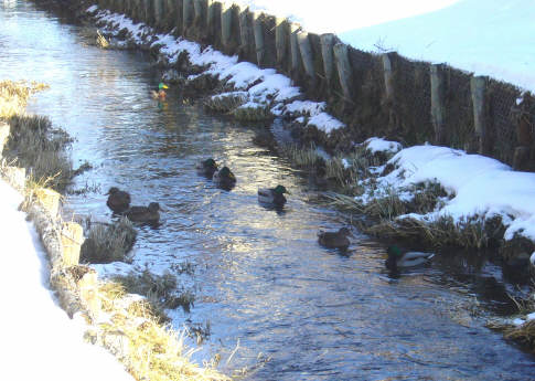 f0029393_17245220.jpg