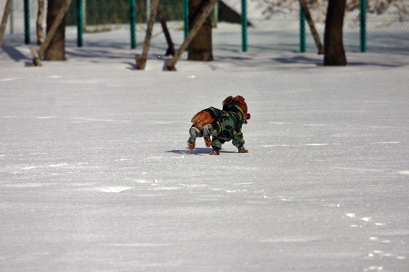f0001895_2339231.jpg