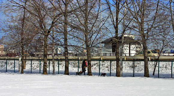 f0001895_23394544.jpg
