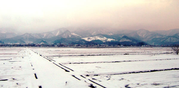 a0027198_12461114.jpg